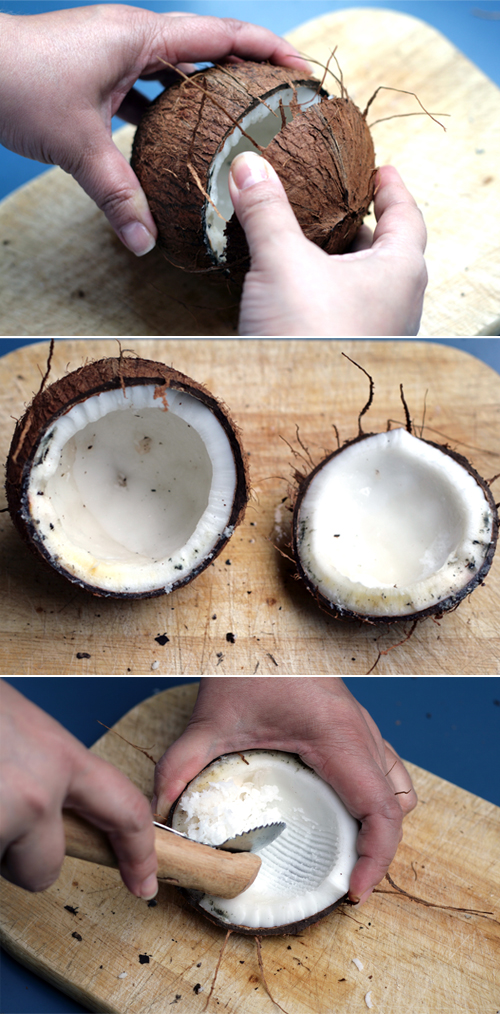 how to shred coconut